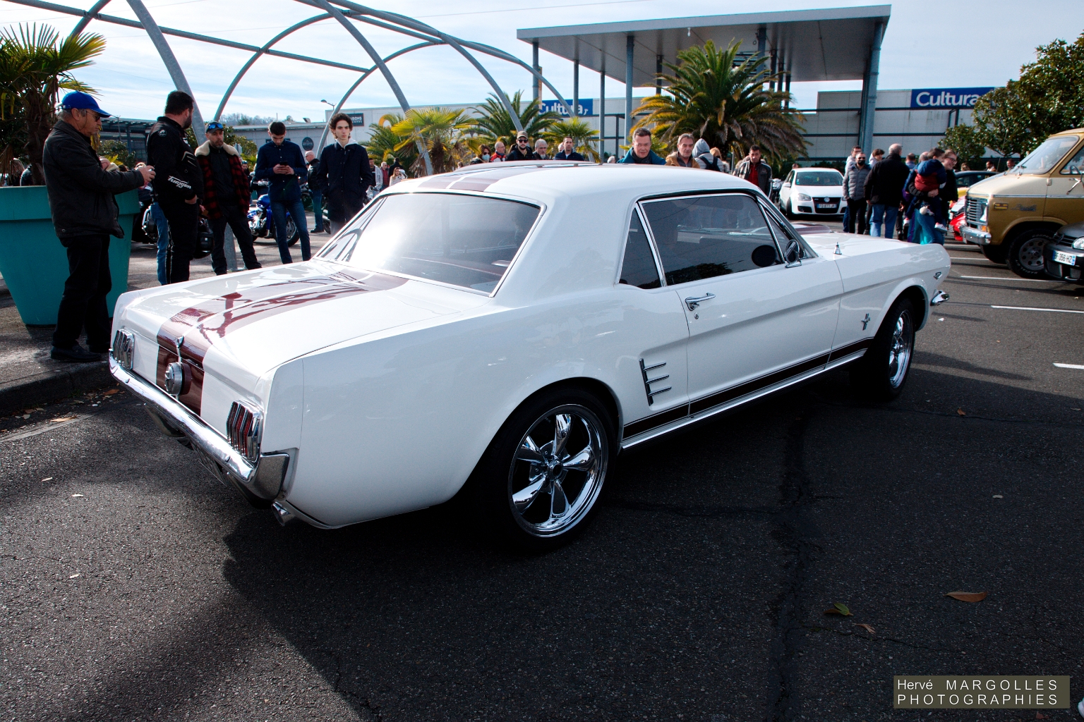 Ford Mustang -02.jpg
